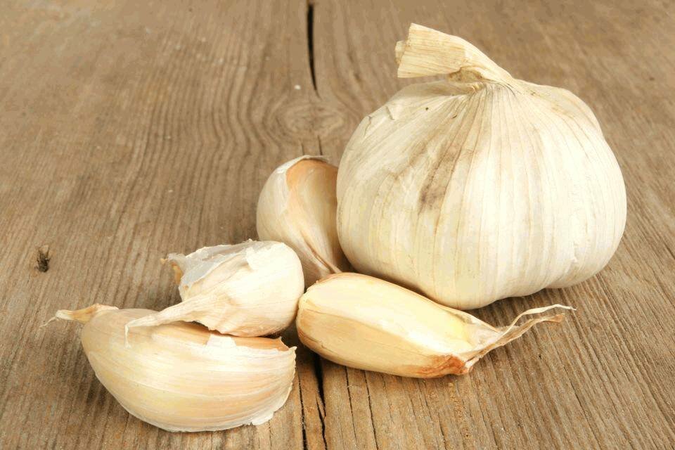 Зубчики чеснока
