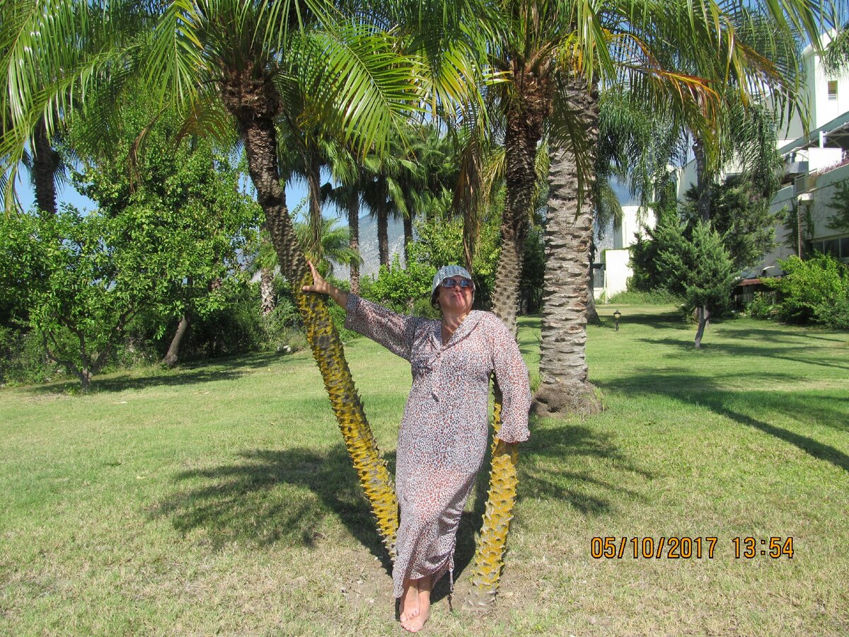 Под пальмами!