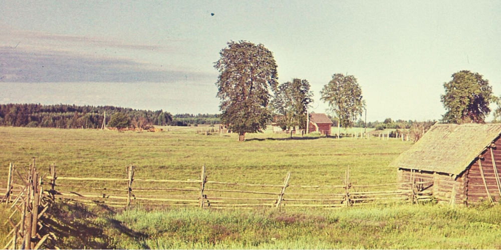 Фото 80-х годов. Наша исчезающая деревня.