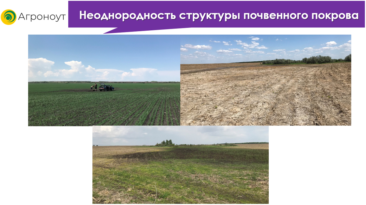 Разнообразие почв России