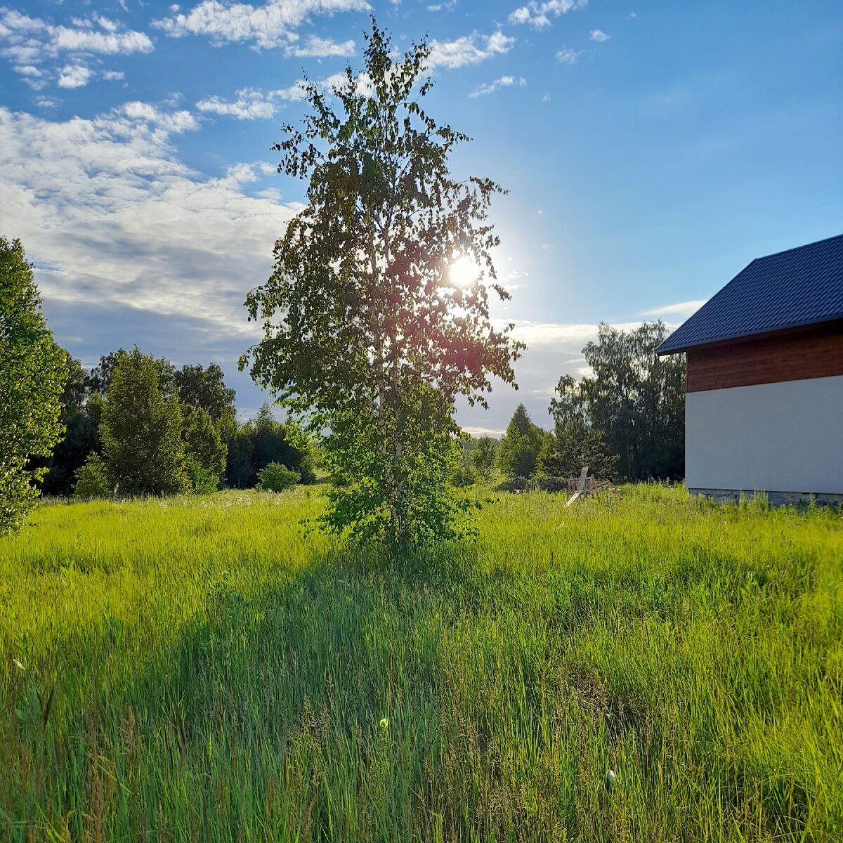 "Доброе утро, мир! Ты прекрасен!" Фото автора