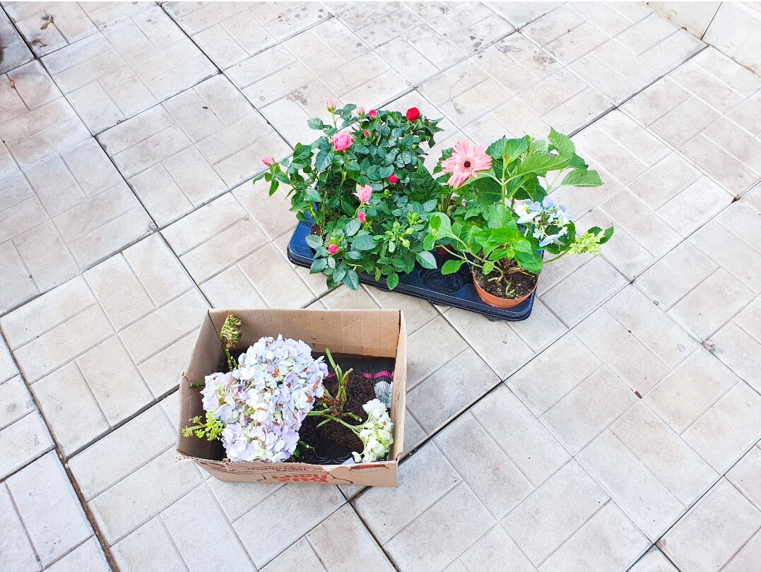 Вот так выглядели мои приобретения