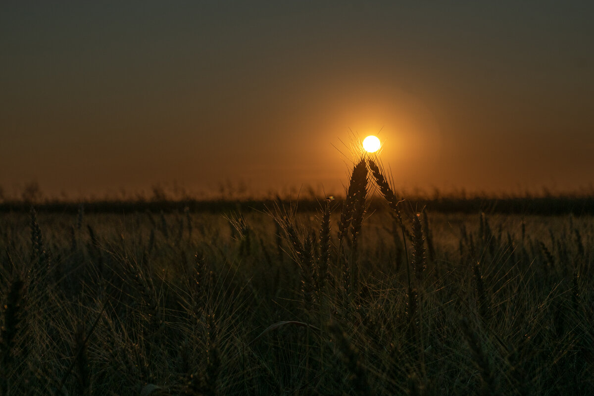 Фото Сельсовет