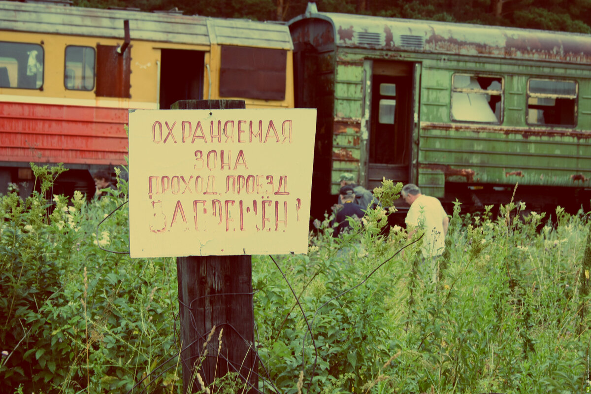 Фото: Алексей Меркулов; 66.RU