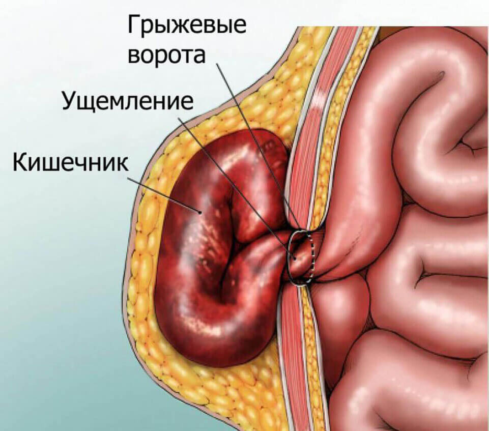 Загружено из яндекс-картинки