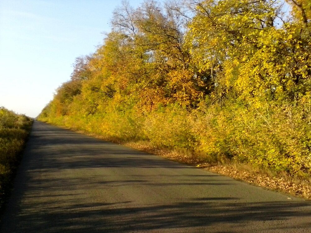 Дорога домой.