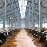  Компания Ангар 36 предлагает комплекс услуг по строительству каркасных ангаров, складов и прочих зданий сельскохозяйственного назначения под ключ. Мы выполняем проектирование, изготовление, возведение металлоконструкций, стен и кровли из профнастила и сэндвич-панелей, отделку, введение в эксплуатацию. Мы успешно реализуем проекты агрокомплексов следующего назначения: