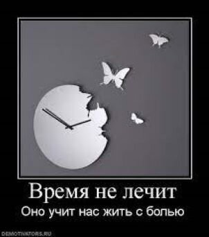 картинка из интернет