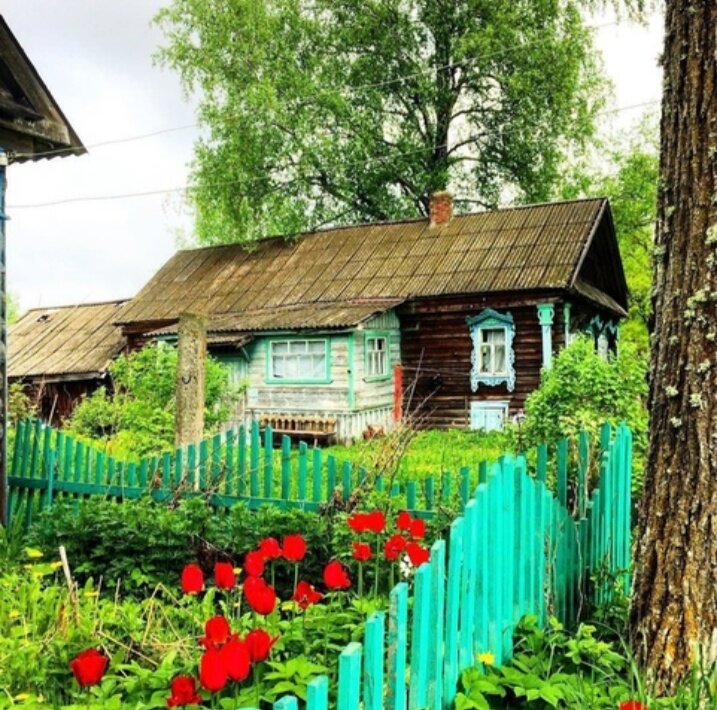 Источник Яндекс. Картинки