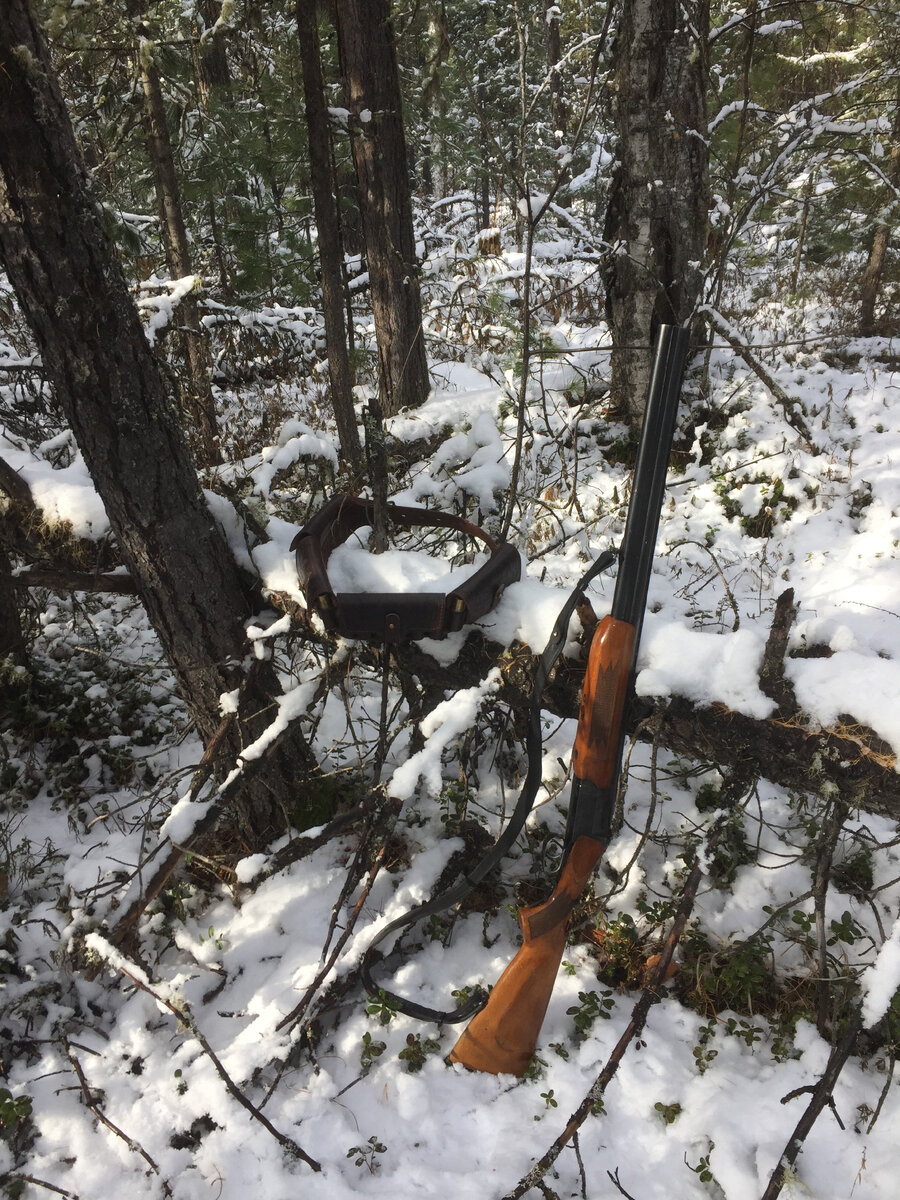 Жить ружейной охотой можно, только для того нужно где-то брать снаряжение - порох, капсюли, дробь. Да и за зверем побегать придется. Единственный вариант для более-менее стабильного поступления мяса на стол - это петли, ловушки и капканы.