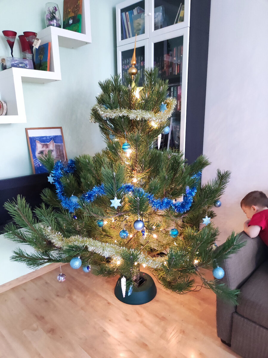 Наша ёлочка, у нас нынче сосенка