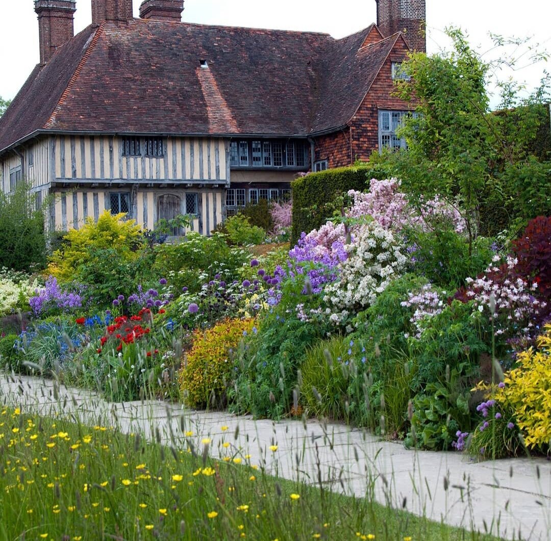 заметили новое увлечение экологией: традиционный газон заменили на луговой газон
