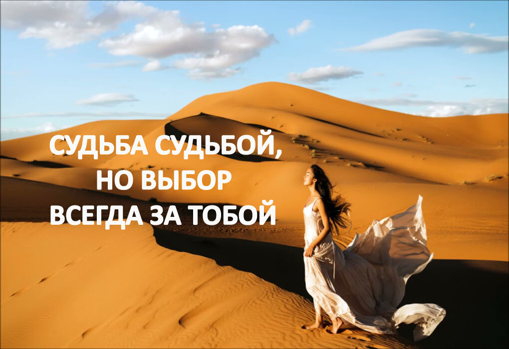 источник фото - https://clck.ru/akdQC