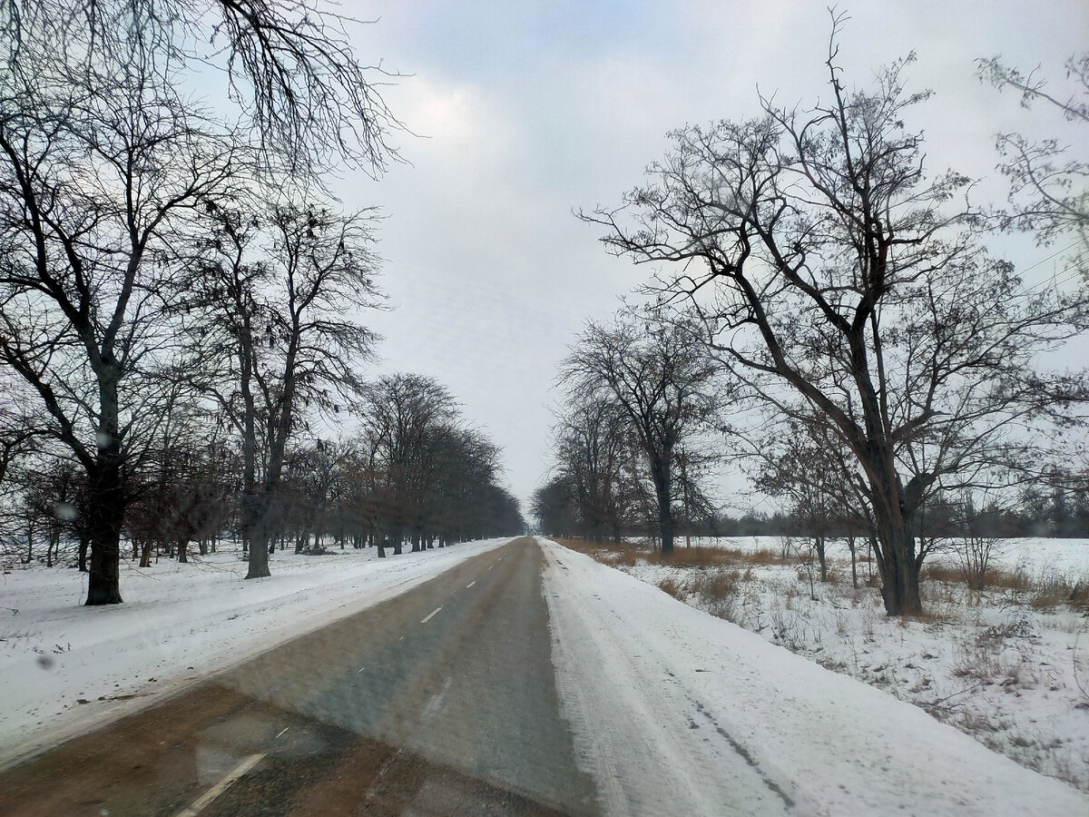 Фотография сделана автором канала 