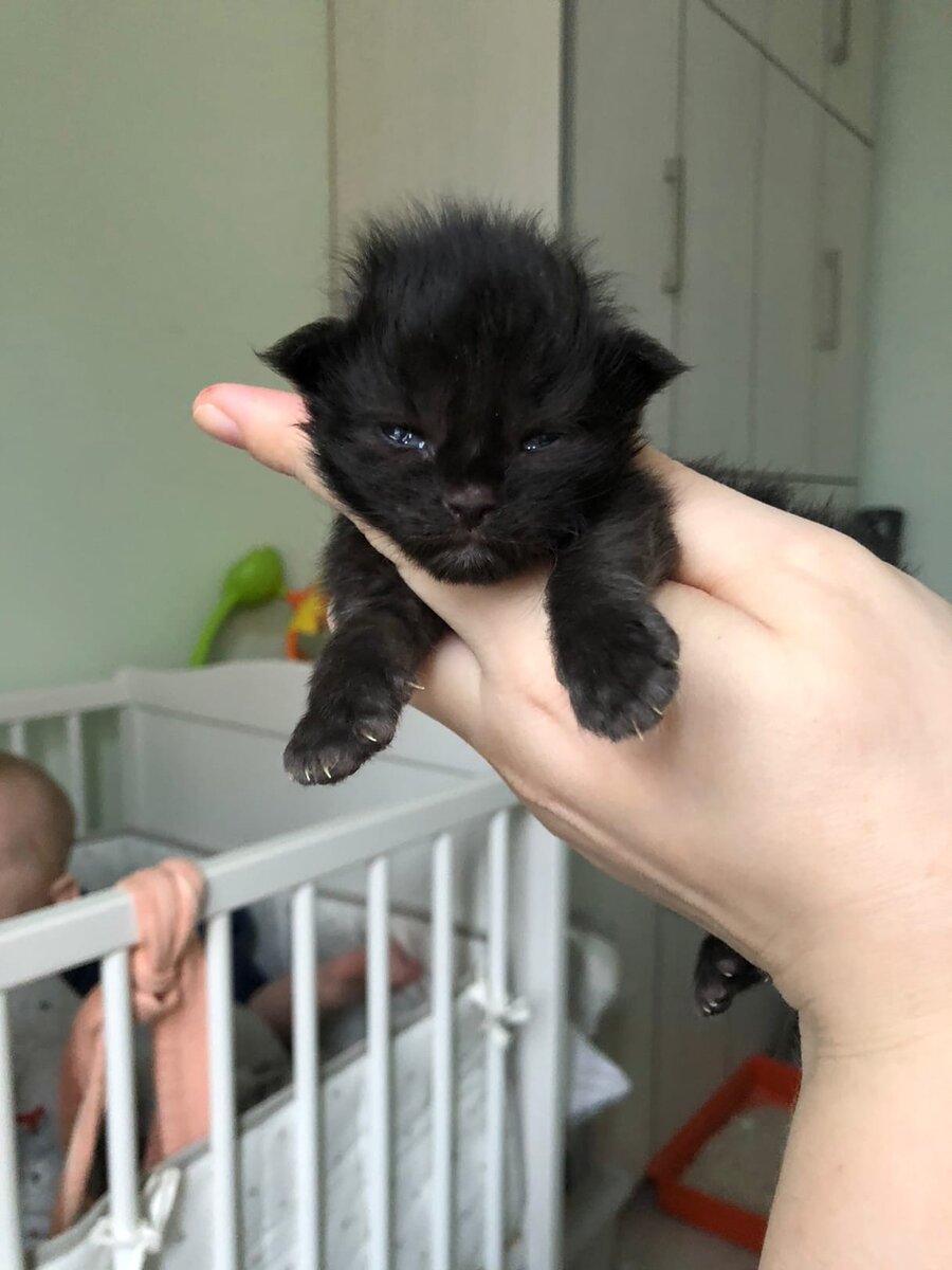 Фото из  личного архива.