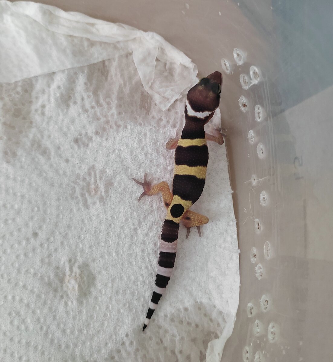 Малыш от 14.03.22