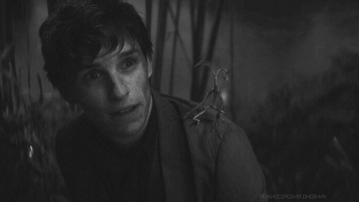 кадр из кф "Фантастические Твари: Тайны Дамблдора"