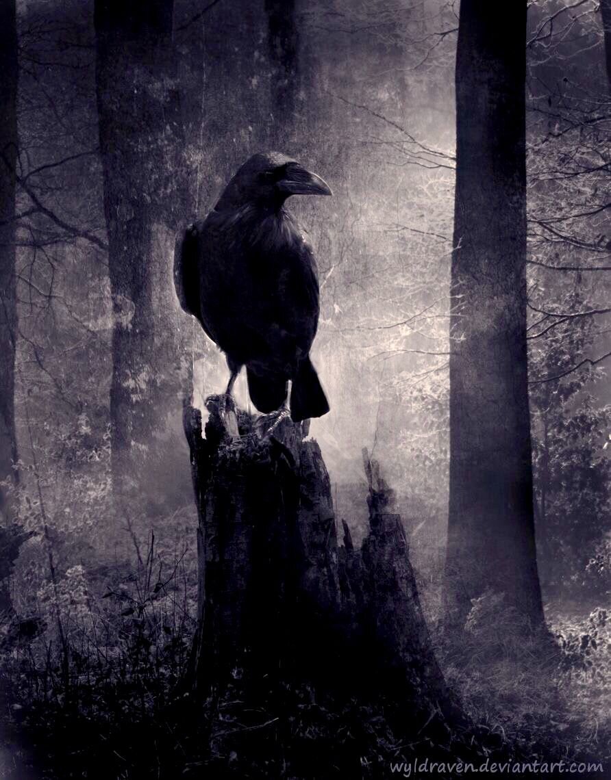  Картинка взята из открытых источников.