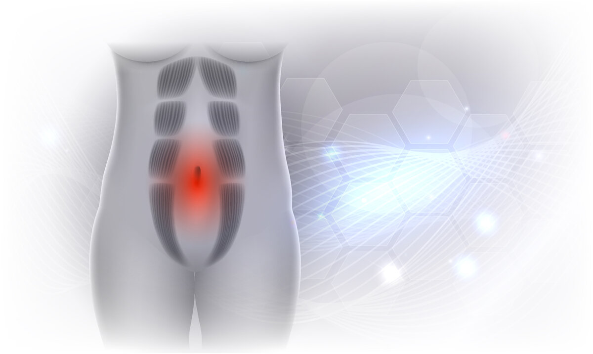 Linea Alba abdominis