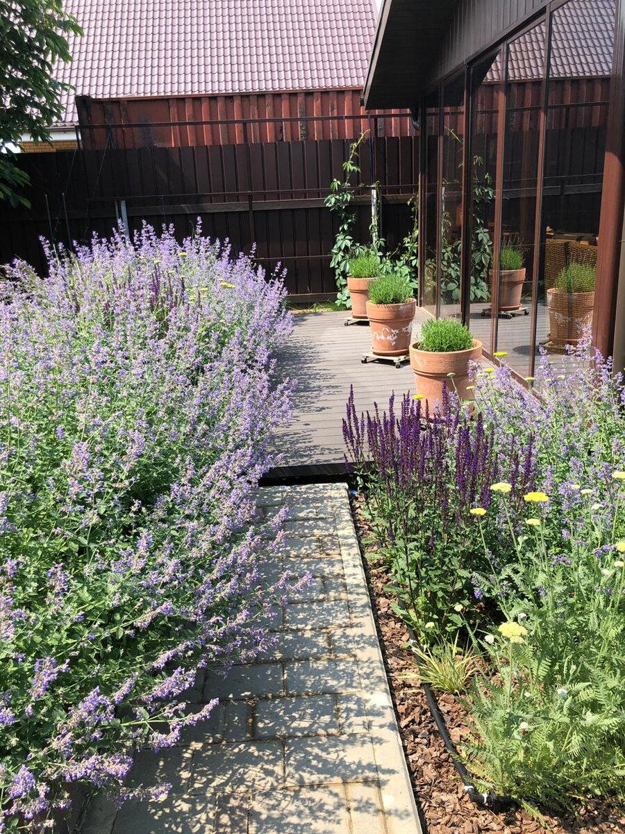 Ландшафтный дизайн веранды в современном стиле в Подмосковье