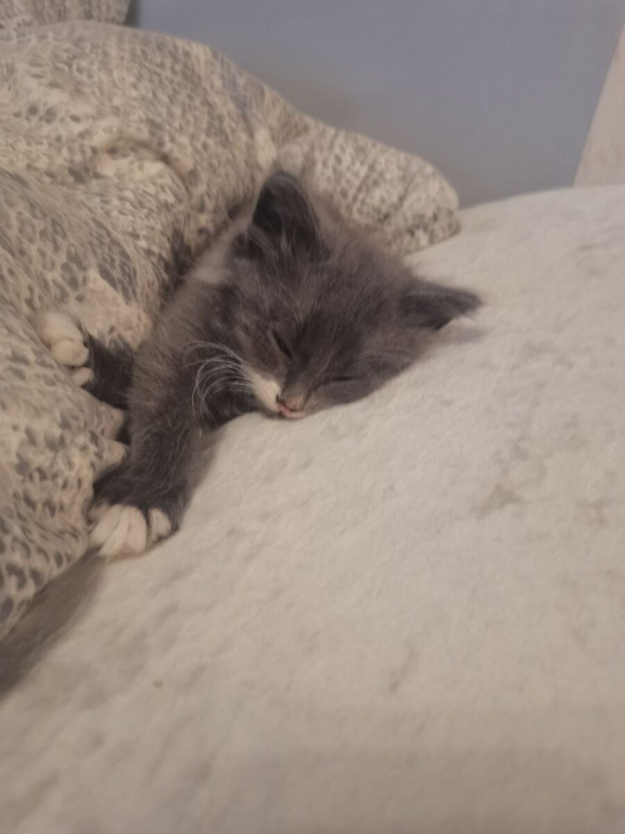 Чье то счастье спит