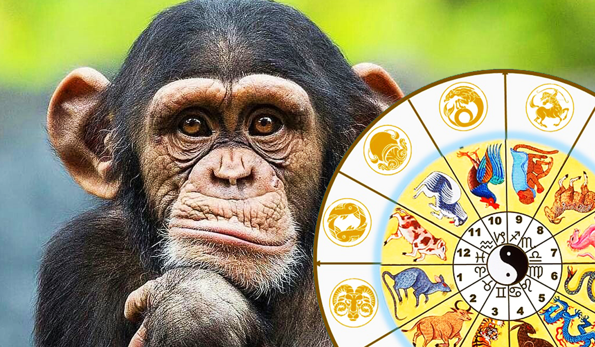 Авторский коллаж, рисунок источник яндекс картинки