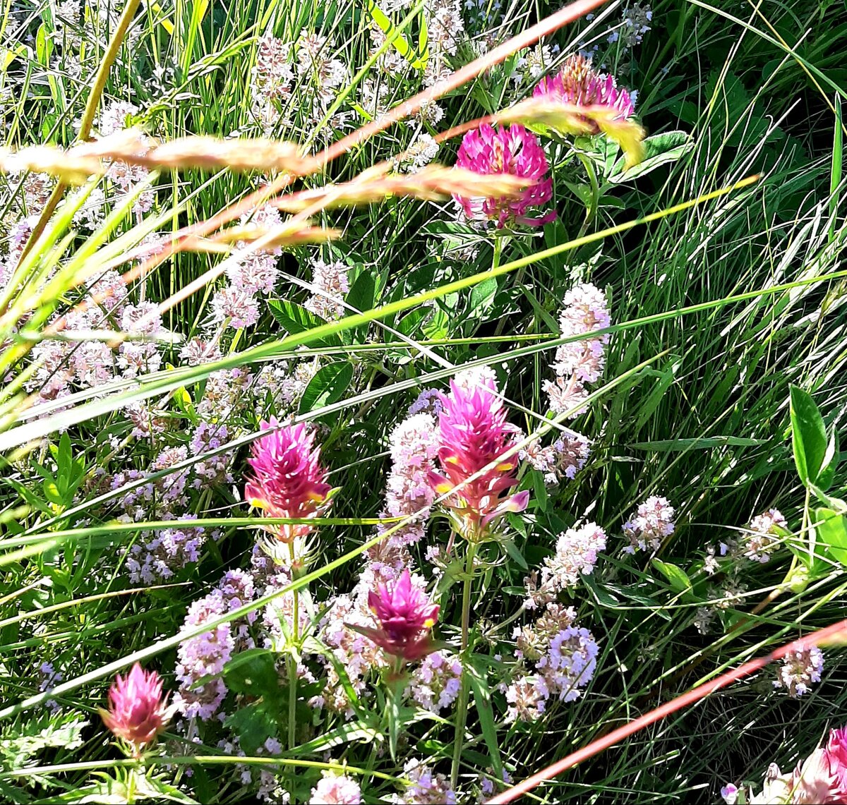 Мне нравится...