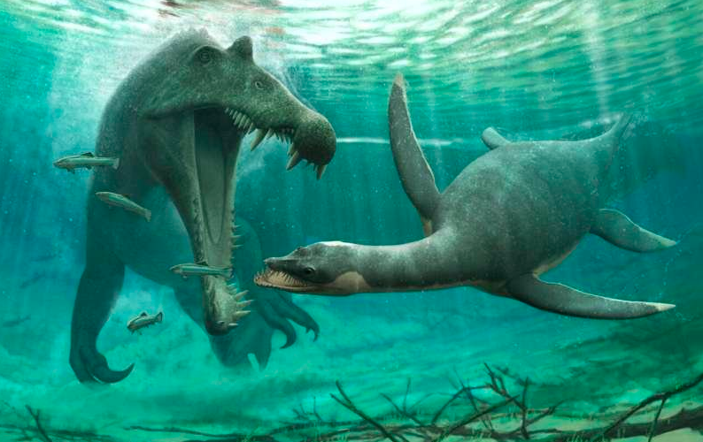 Фото: University of Bath