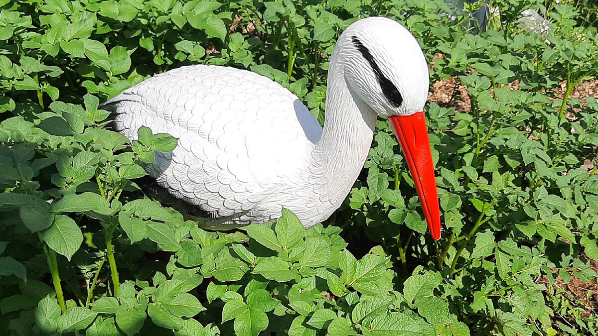 Пока прилетел только Аист (всё ещё безымянный, предлагайте варианты) - подарок соседей по даче на новоселье.