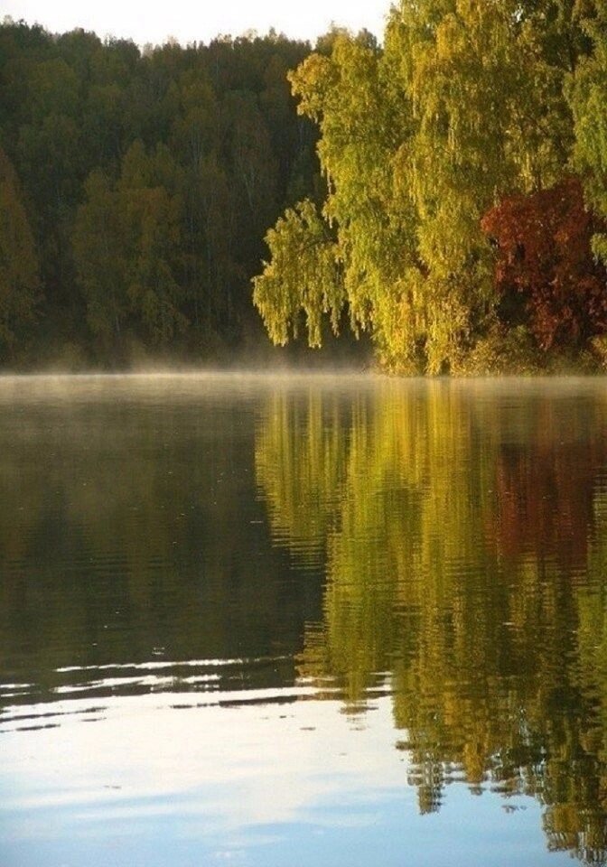 Фото из свободных источников сети Интернет. 