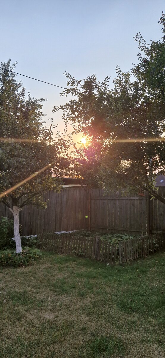 Ну, красота!