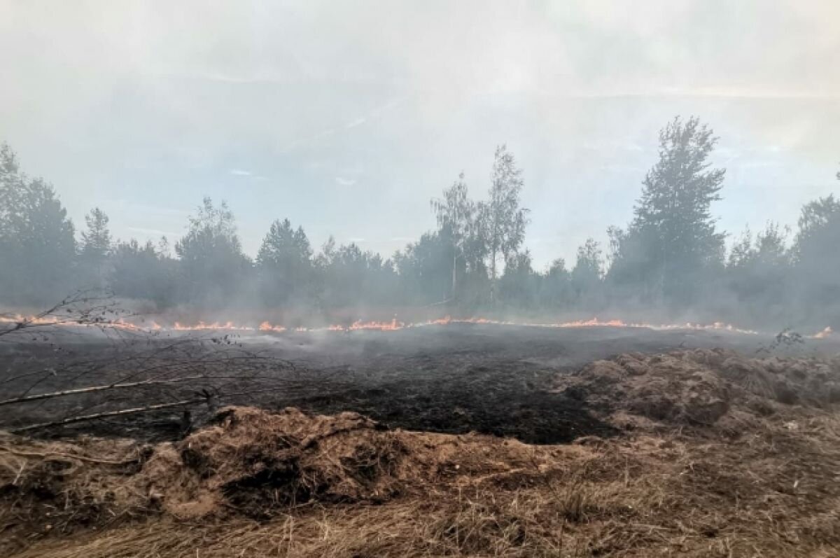    Нижегородский лесовод скончался на тушении пожара в Воротынском районе