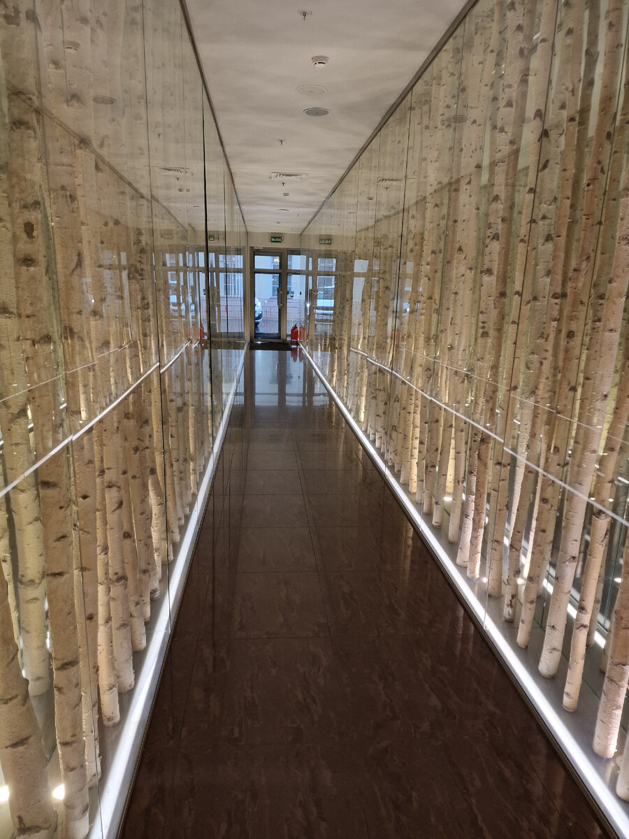 Берёзки на входной группе