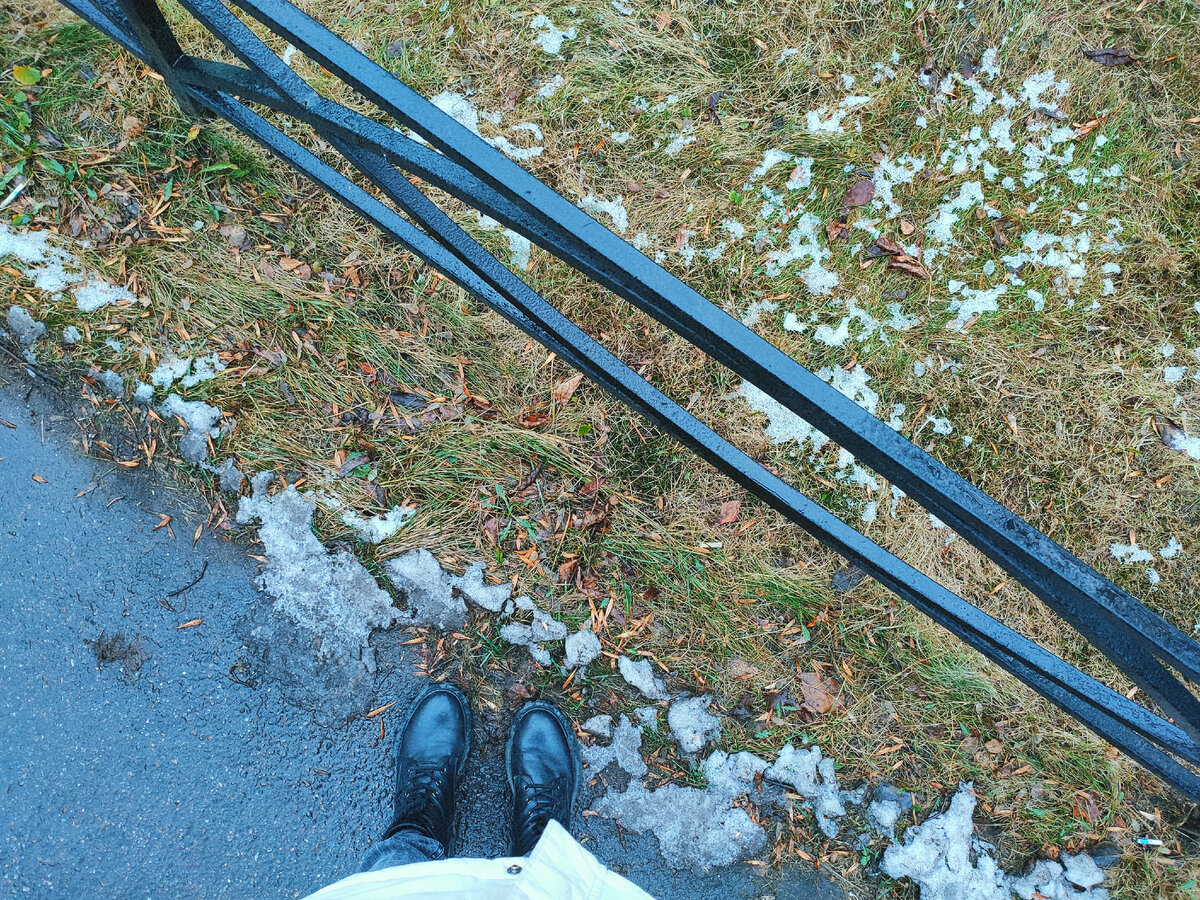 Фото автора. Газон возле подиклиники