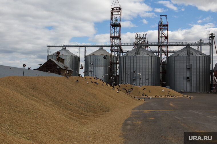    Зерновая сделка будет продлена, заявил Зеленский