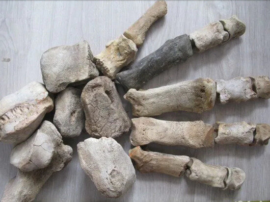     ФОТО СКРИНШОТ АВИТО