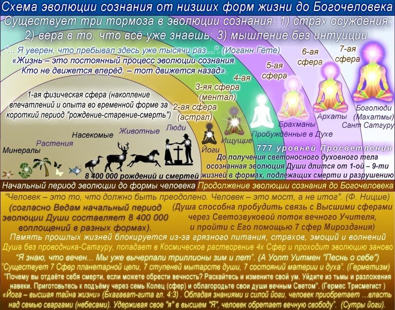 Представлен как недорогими моделями так и образцами воплощающими в себе новейшие