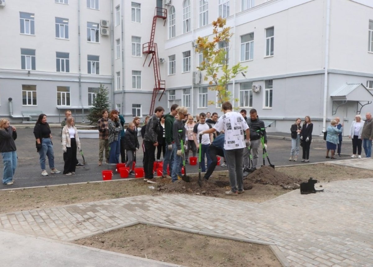    «Литературный сквер» появится во внутреннем дворе ПсковГУ