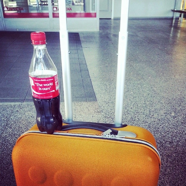 Мой верный попутчик