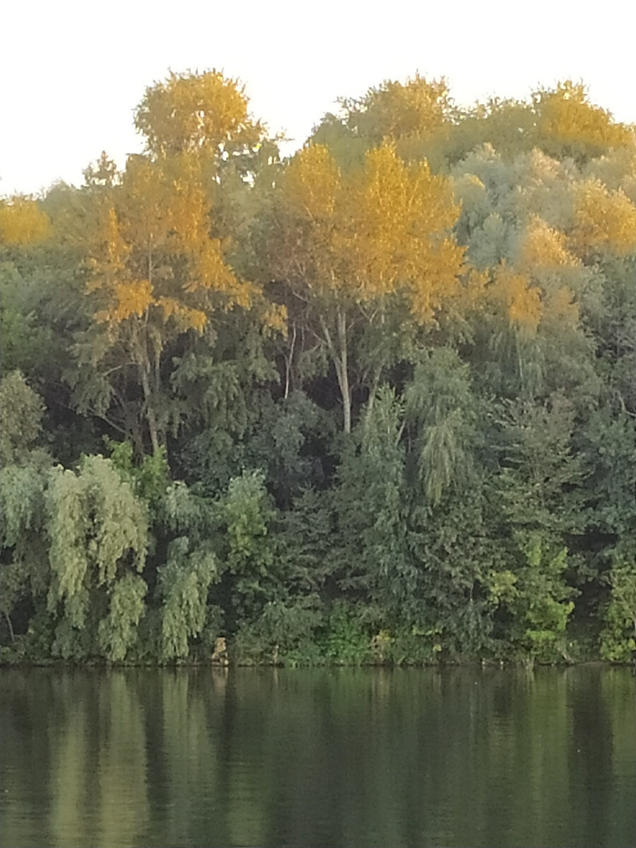 Фото автора. В это трудно поверить, но это городской парк 