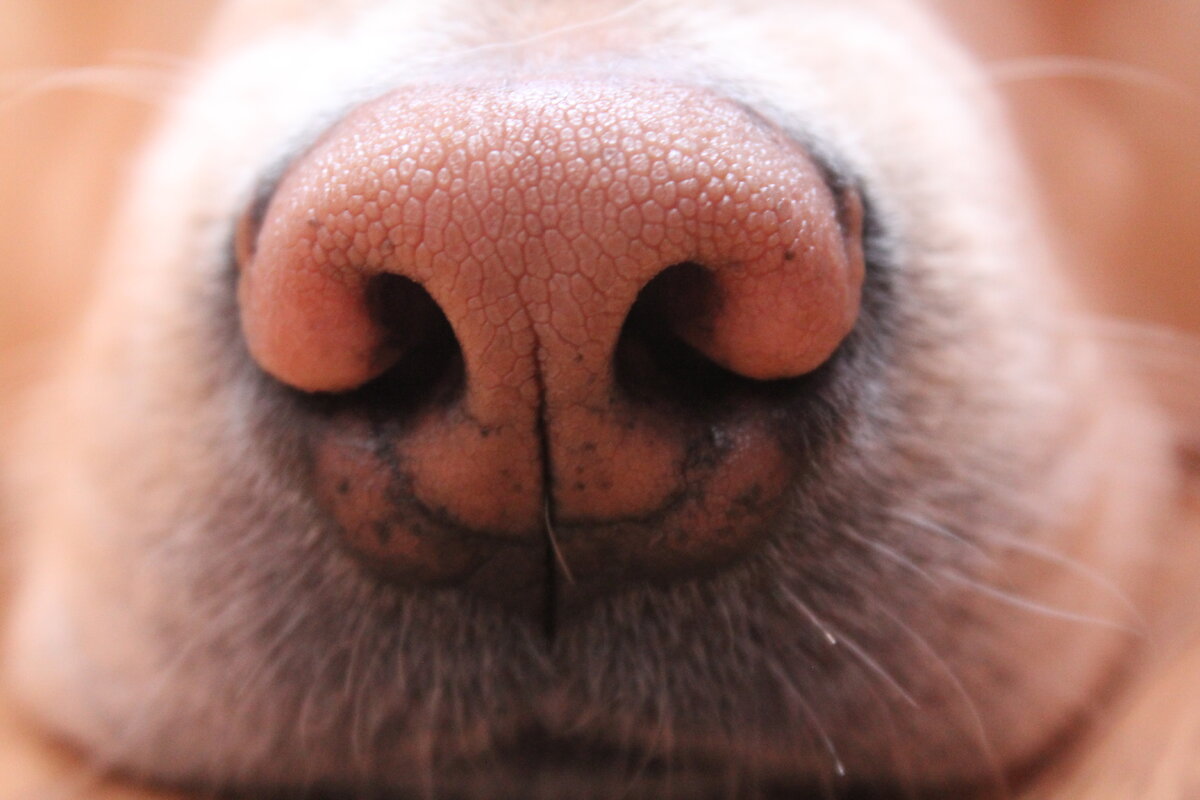 фото из личной коллекции