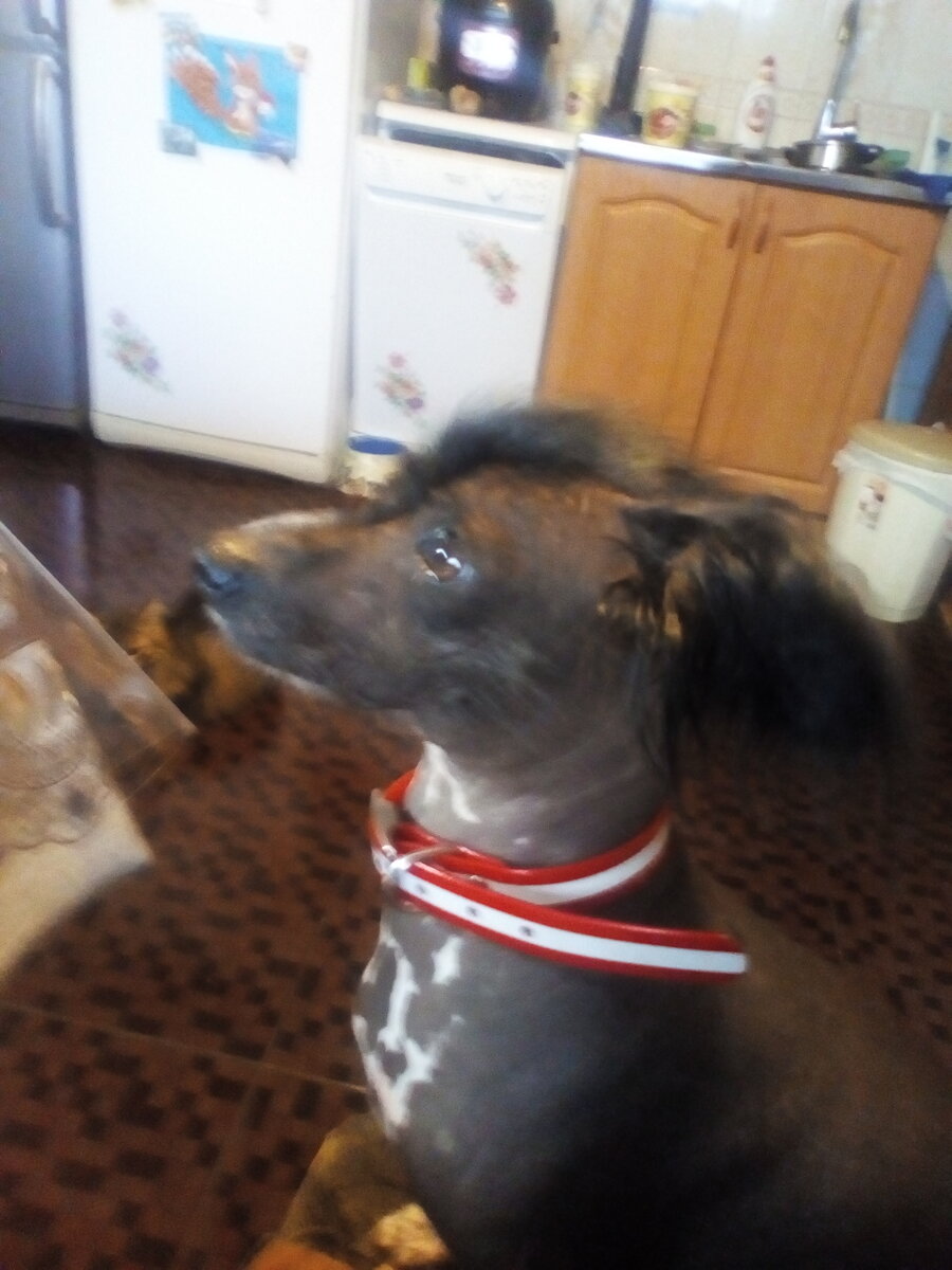 А в глазах слёзки, то ли от обиды, то ли от горчицы.