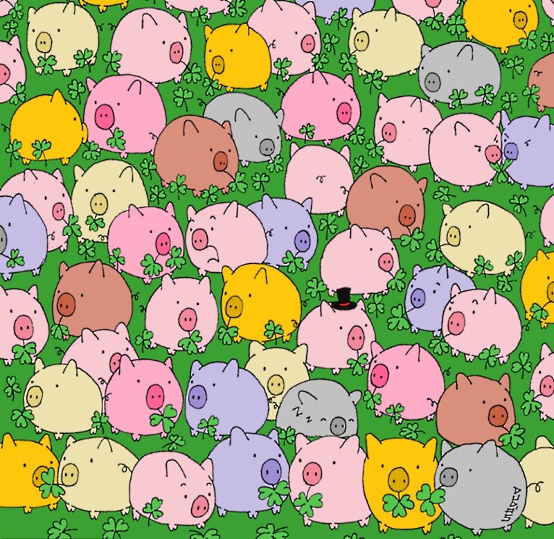 Фото взято из сети