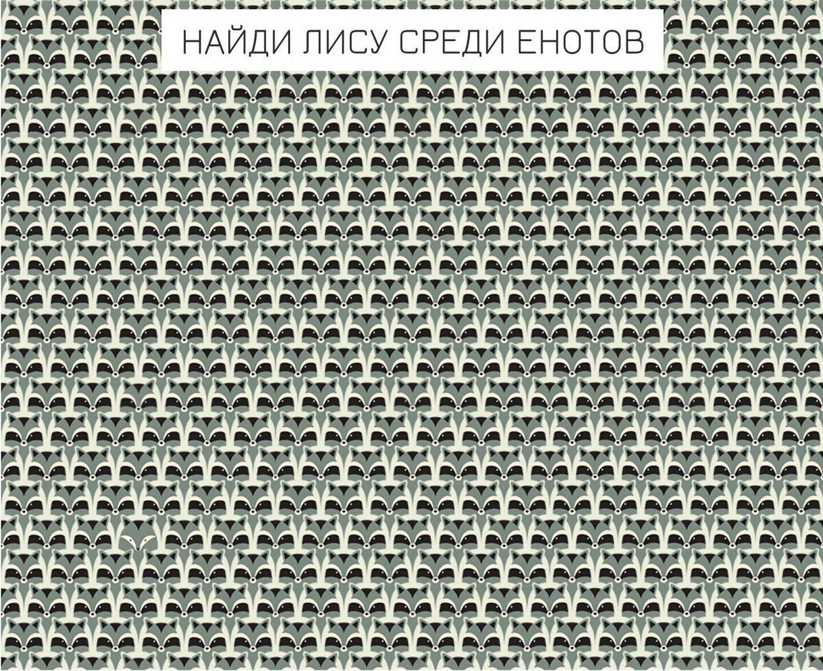 Фото взято из сети