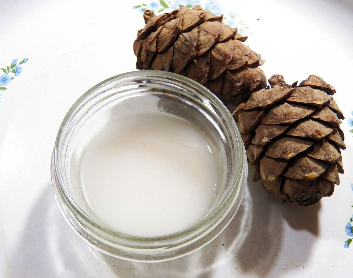 Молоко из кедрового ореха для укрепления иммунитета