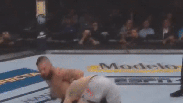 Бой против Джереми Стивенса, Забит Магомедшарипов, боец мма, ufc