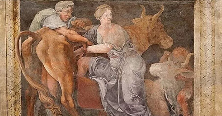 Пасифая лезет в корову