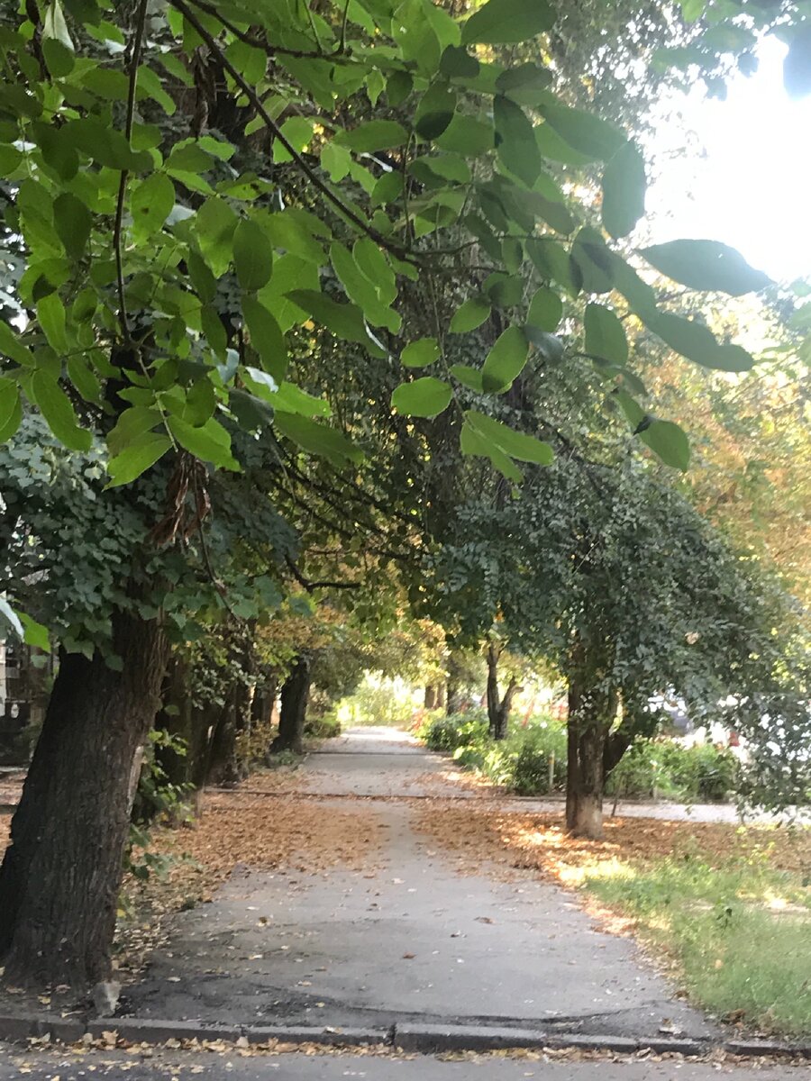 Дорога одна - с кем её пройти, ваш выбор.