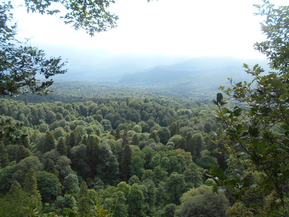 Мечты сбываются