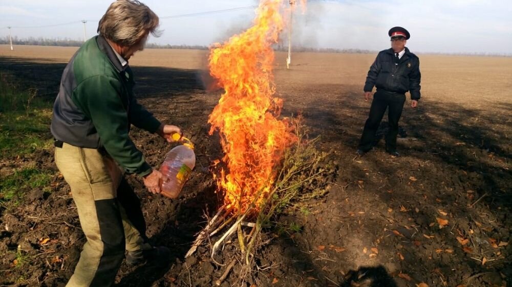 Накануне в Усть-Лабинске в рамках межведомственной оперативно-профилактической акции «Мак 2019» сотрудники районной полиции искали и уничтожали дикорастущую коноплю. Рейдовой группой были выявлены и уничтожены 23 куста уже порядком подсохшего дурмана, чтобы он не достался наркоманам. Работы проводились в соответствии с действующим законодательством: с составлением акта уничтожения и фотосъемки. Последняя как раз и улыбнула.
